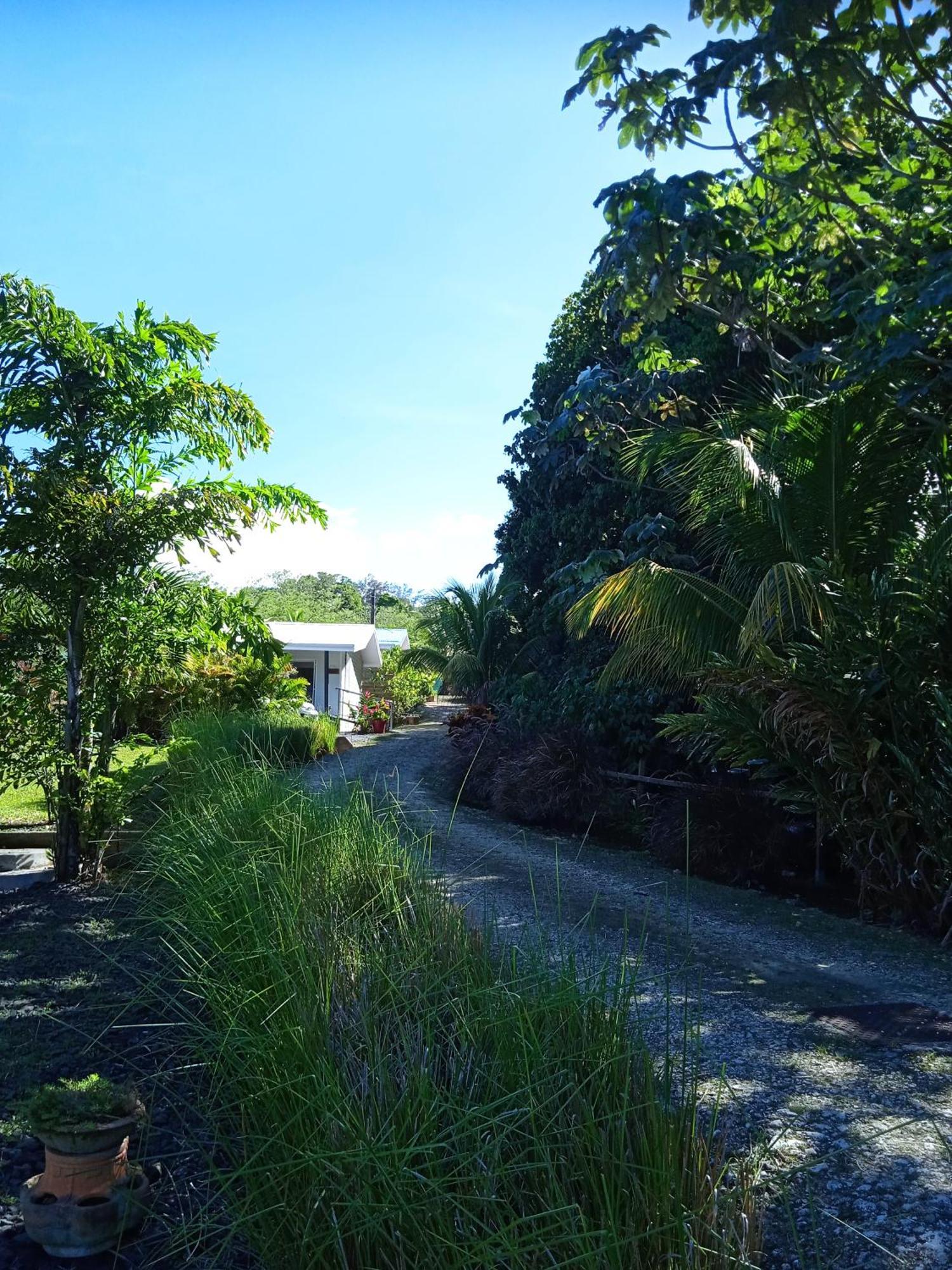 Dadi'S Little Paradis Sainte-Rose Exterior foto