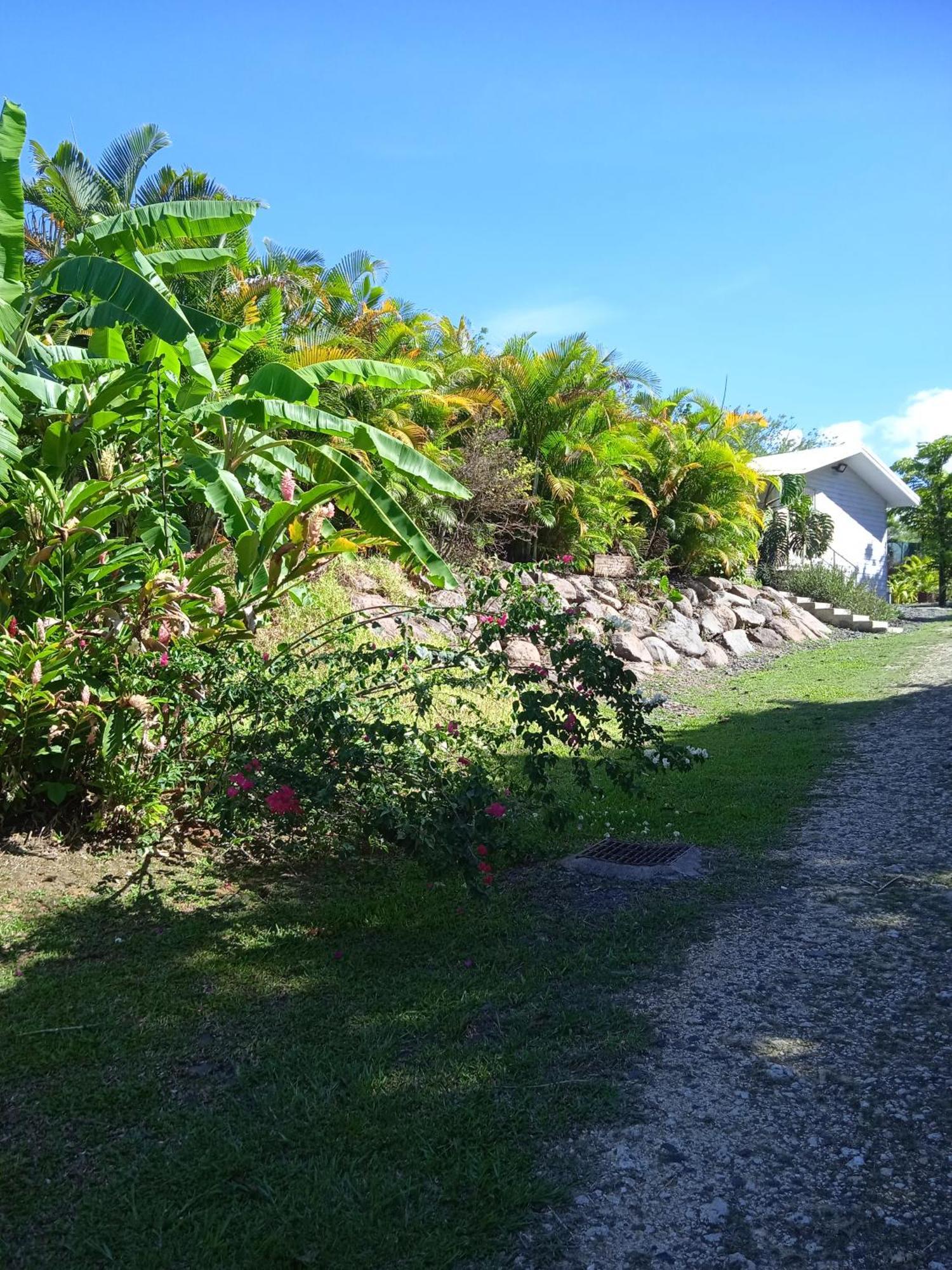 Dadi'S Little Paradis Sainte-Rose Exterior foto