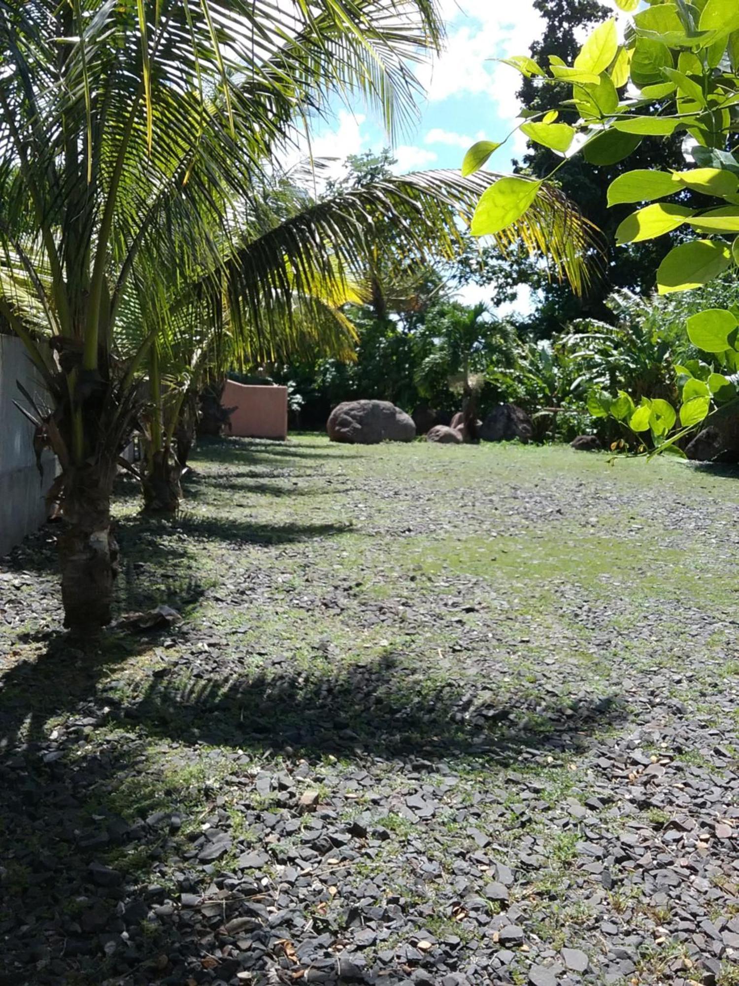 Dadi'S Little Paradis Sainte-Rose Exterior foto