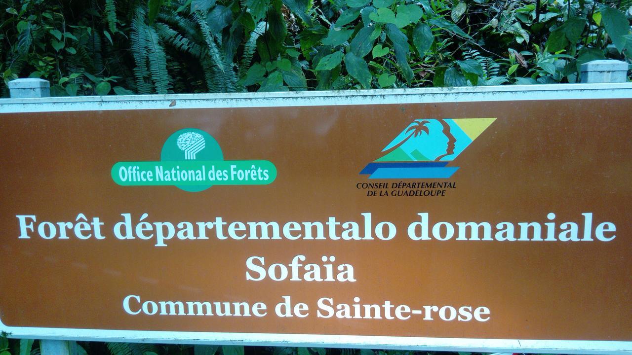 Dadi'S Little Paradis Sainte-Rose Exterior foto